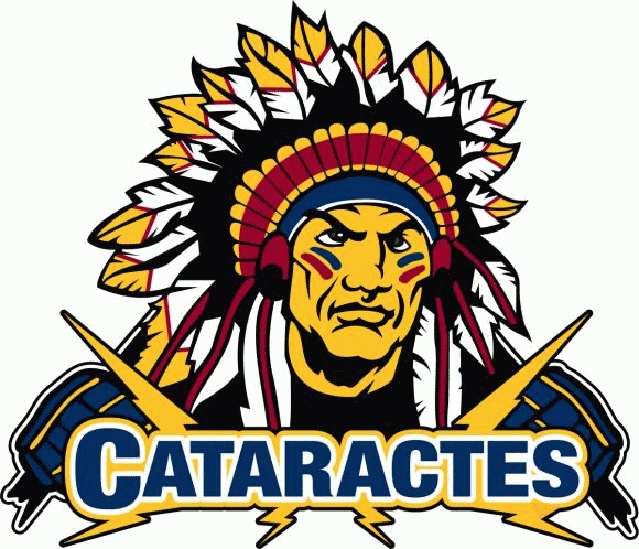 shawinigan cataractes 2008-pres primary logo iron on heat transfer